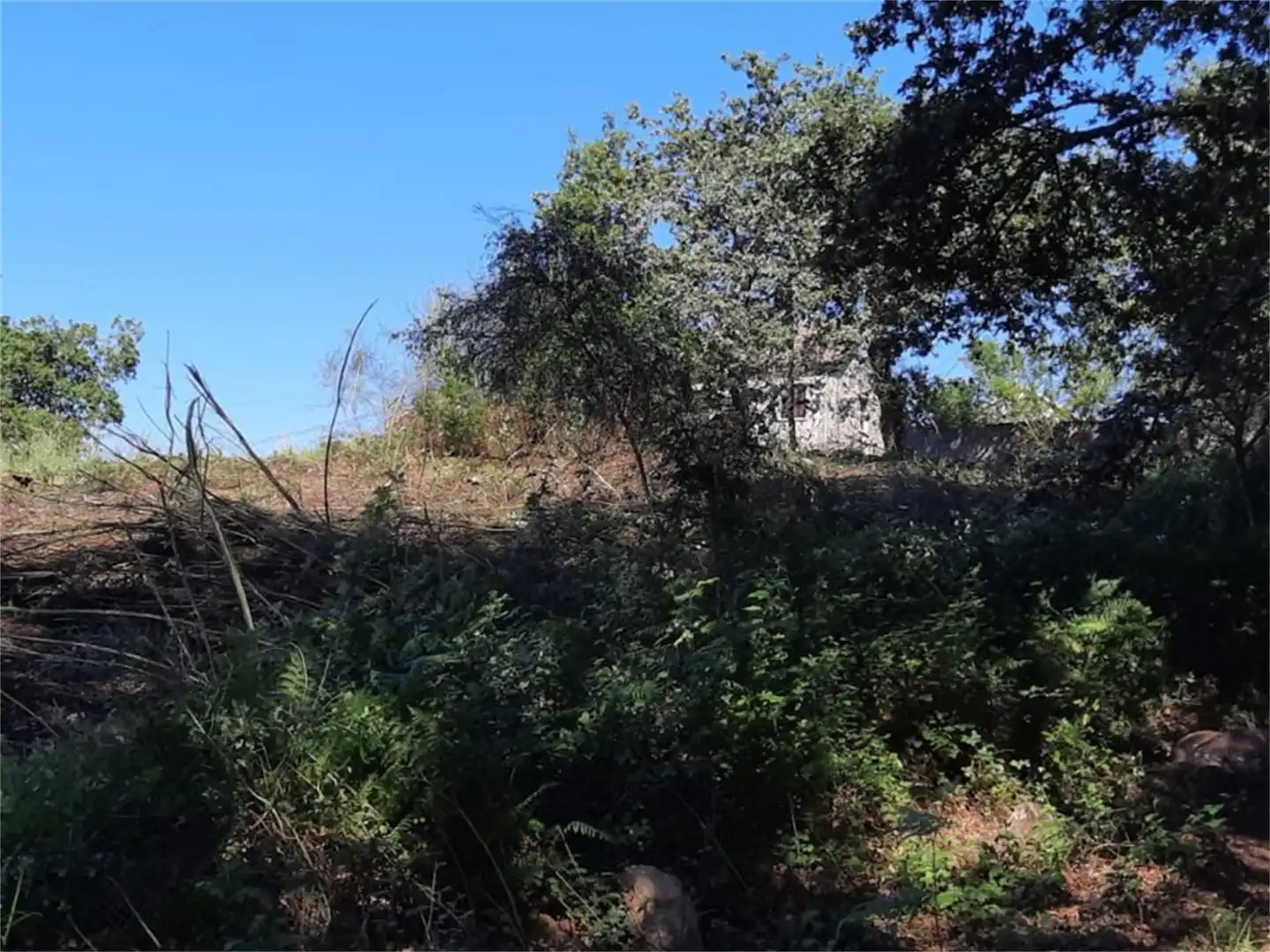 Urbanizable en venta en Camiño Vello a Moo, Comesaña - Matamá Urbanizable en venta en Vigo