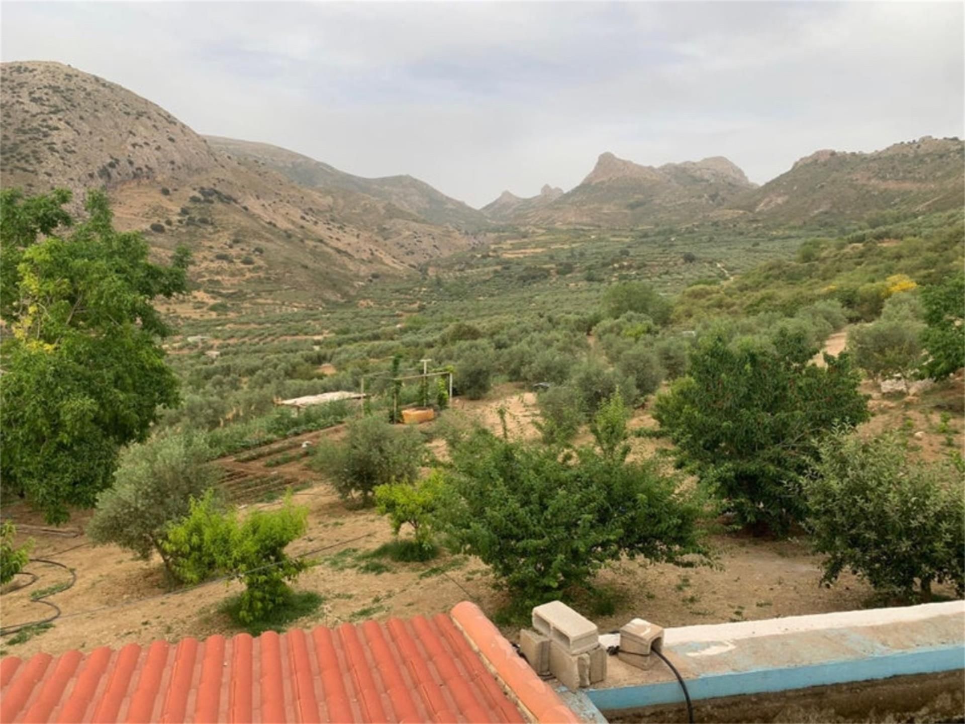 Jardí de Finca rústica en venda en Cogollos de la Vega