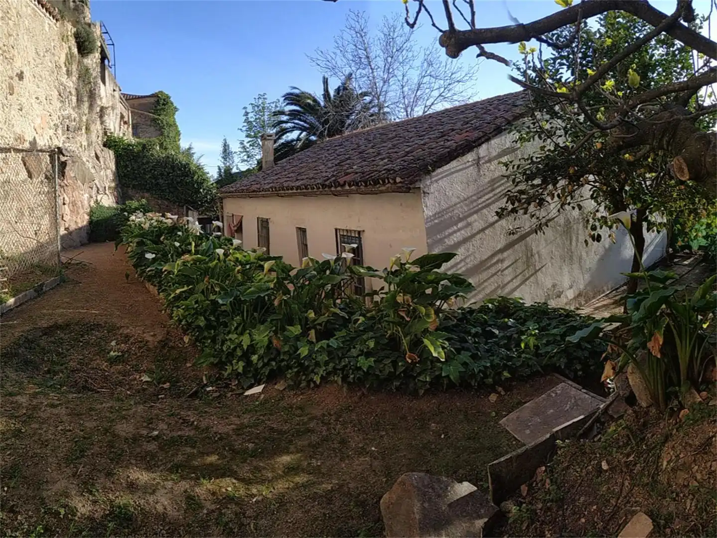 Casa o chalet en venta en Callejón del Moral, Casco Antiguo Jardín de Casa o chalet en venta en Cáceres Capital