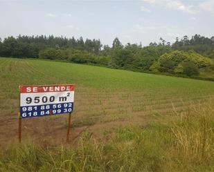 Non-constructible Land for sale in Negreira