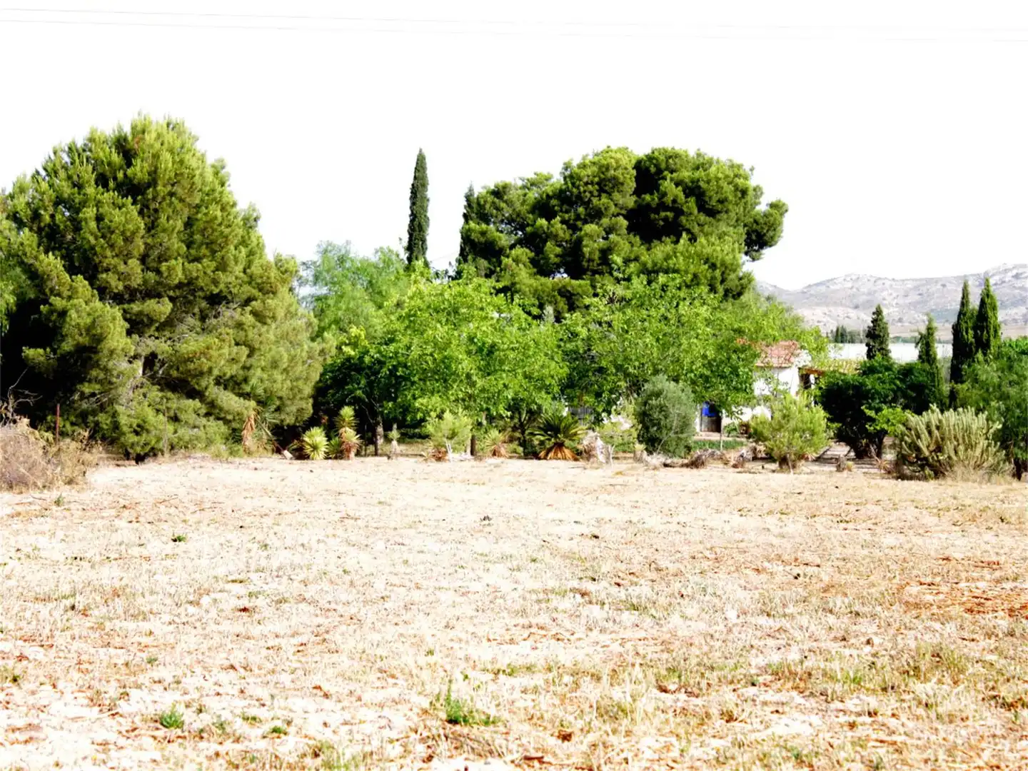 Finca rústica en venda a Cv-825, Monforte del Cid Finca rústica en venda en Monforte del Cid amb Terrassa i Piscina