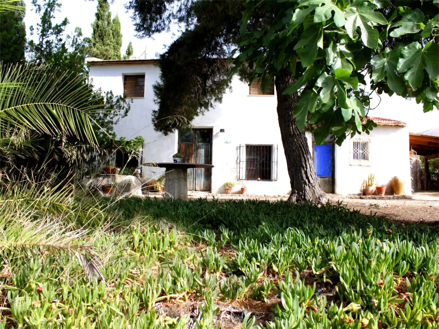 Finca rústica en venda a Cv-825, Monforte del Cid Jardí de Finca rústica en venda en Monforte del Cid amb Terrassa i Piscina