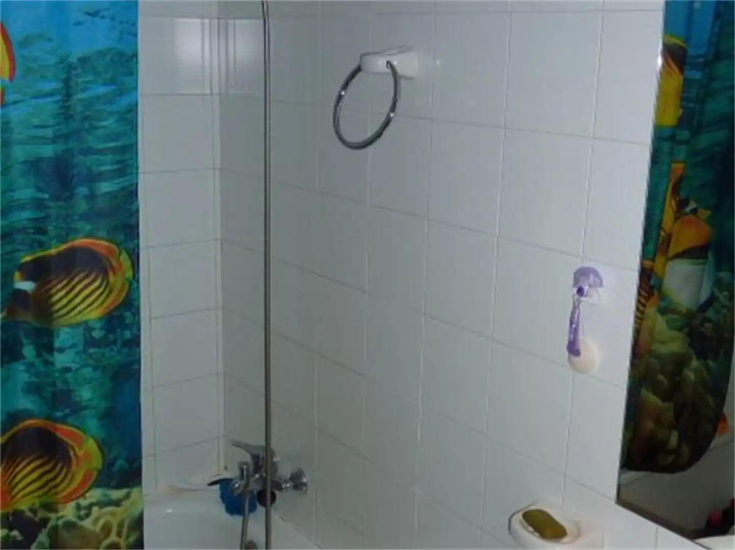 Bathroom of Duplexes for share in Segovia  with Heating and Furnished