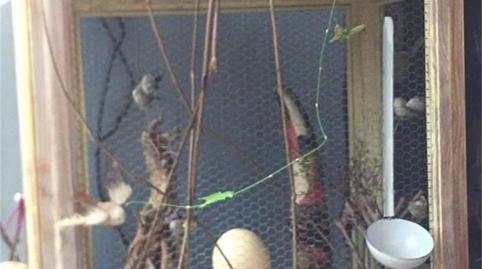 Foto 2 de Casa o xalet per a compartir a Rúa Poutas, Amoeiro, Ourense