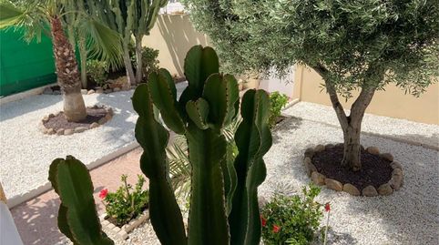 Photo 3 of Houses for sale in Calle Botticelli, Zona Carrefour - Urbanizaciones, Torrevieja