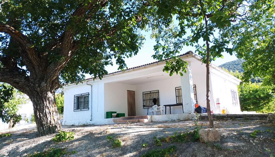 Photo 1 of Country house for sale in Camino Navaparis, Torres, Jaén