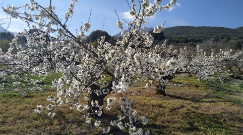 Photo 2 of Country house for sale in Camino Navaparis, Torres, Jaén