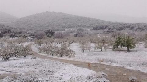 Photo 4 of Country house for sale in Camino Navaparis, Torres, Jaén