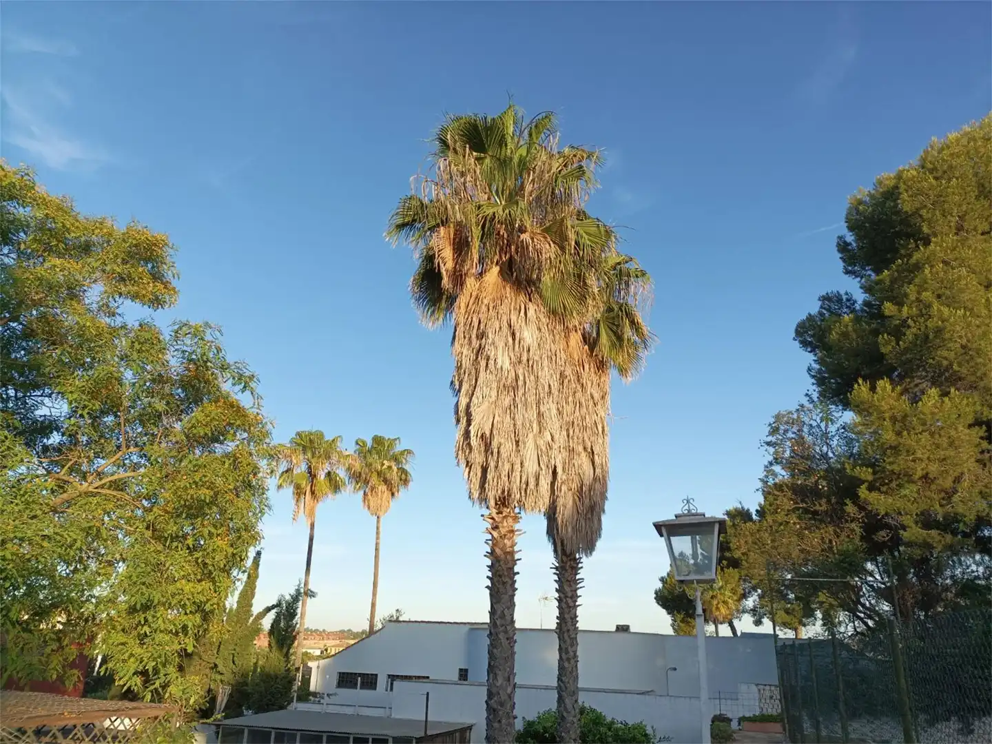 Flat for sale in Avenida de la Juncosa, 125, Oromana Exterior view of Flat for sale in Alcalá de Guadaira with Air Conditioner, Heating and Private garden