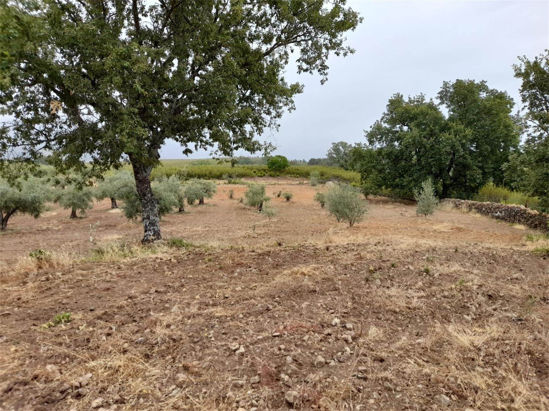 Country house for sale in Jarandilla de la Vera