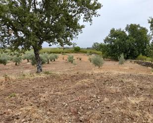 Finca rústica en venda en Jarandilla de la Vera