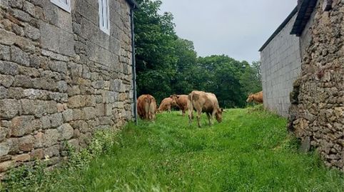 Casa o chalet en venta en Friol, Friol, Lugo - imagen 5 Foto 5 de Casa o chalet en venta en Friol, Friol, Lugo