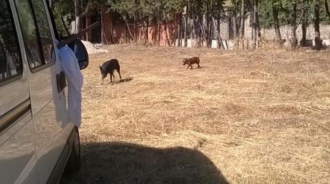 Planta baja for sale in Calle San Adrián, 41, Albarreal de Tajo, Toledo - image 2 Photo 2 of Planta baja for sale in Calle San Adrián, 41, Albarreal de Tajo, Toledo