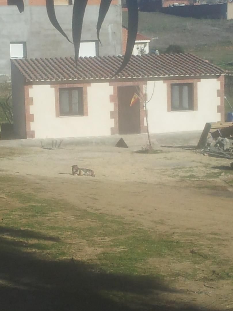 Vista exterior de Planta baixa en venda en Albarreal de Tajo amb Jardí privat