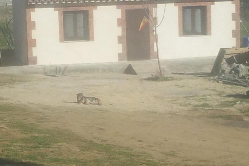 Planta baja for sale in Calle San Adrián, 41, Albarreal de Tajo, Toledo - image 1 Photo 1 of Planta baja for sale in Calle San Adrián, 41, Albarreal de Tajo, Toledo