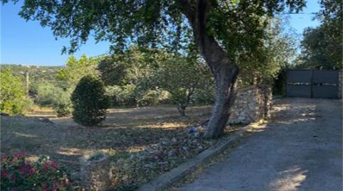 Flat for sale in Camí Vell de Costitx, Zona Periurbana, Illes Balears - image 2 Photo 2 of Flat for sale in Camí Vell de Costitx, Zona Periurbana, Illes Balears