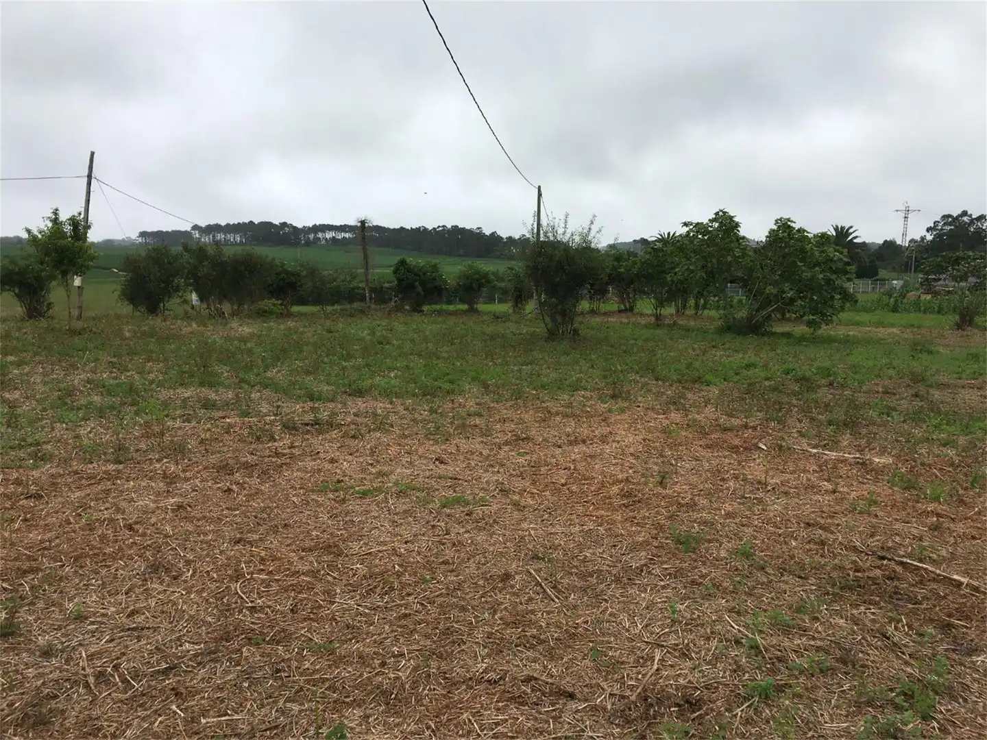 Urbanitzable en venda en Navia