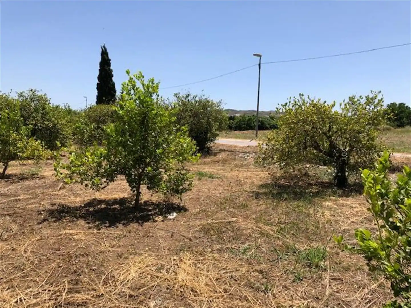 Constructible Land for sale in Vereda de los Peperres, Zeneta Constructible Land for sale in Murcia