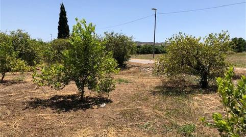 Urbanitzable en venda a Vereda de Los Peperres, Zeneta, Murcia - imatge 2 Foto 2 de Urbanitzable en venda a Vereda de Los Peperres, Zeneta, Murcia