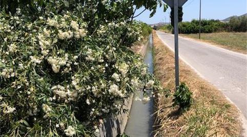 Urbanitzable en venda a Vereda de Los Peperres, Zeneta, Murcia - imatge 4 Foto 4 de Urbanitzable en venda a Vereda de Los Peperres, Zeneta, Murcia