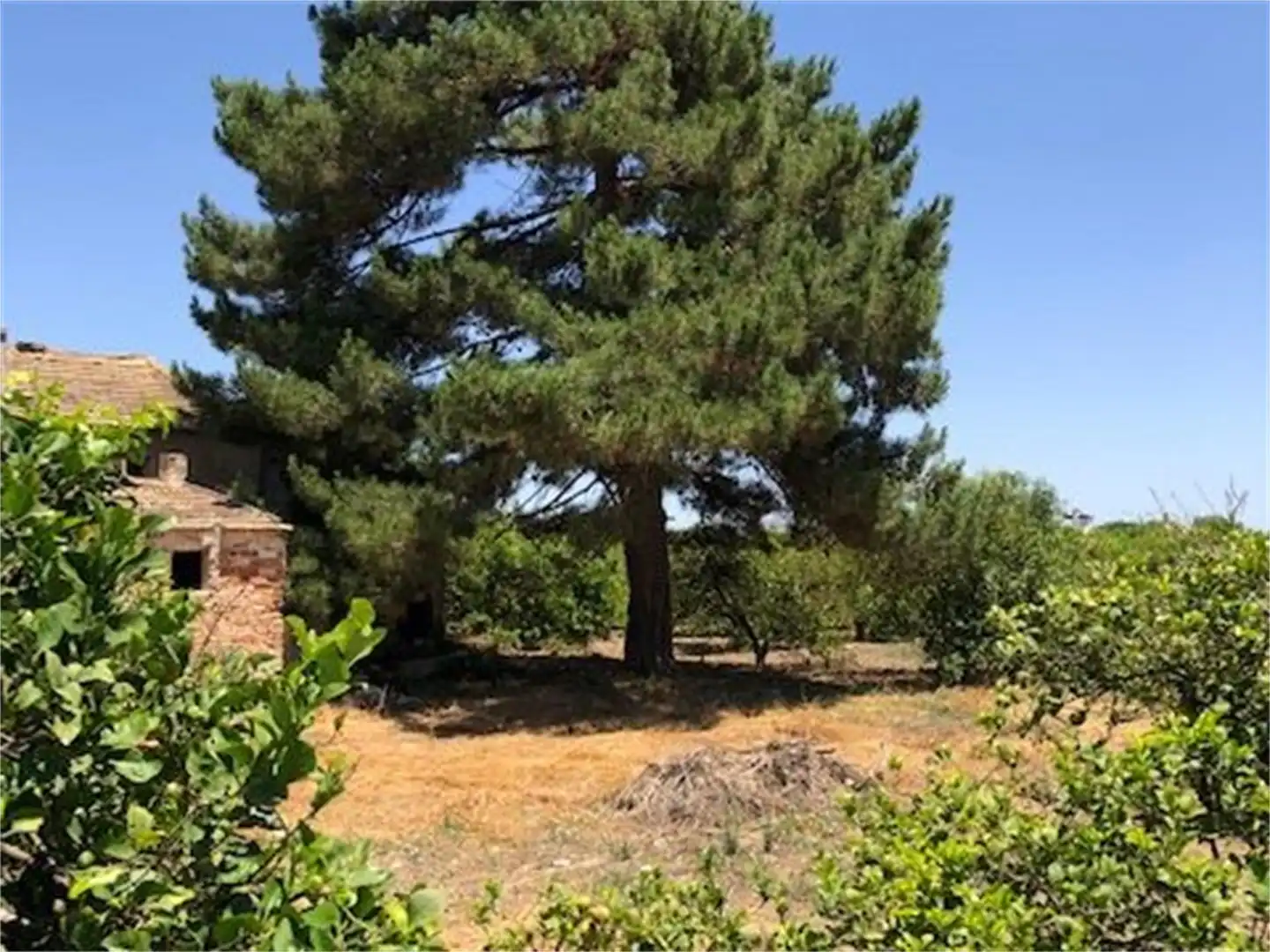 Constructible Land for sale in Vereda de los Peperres, Zeneta Constructible Land for sale in Murcia
