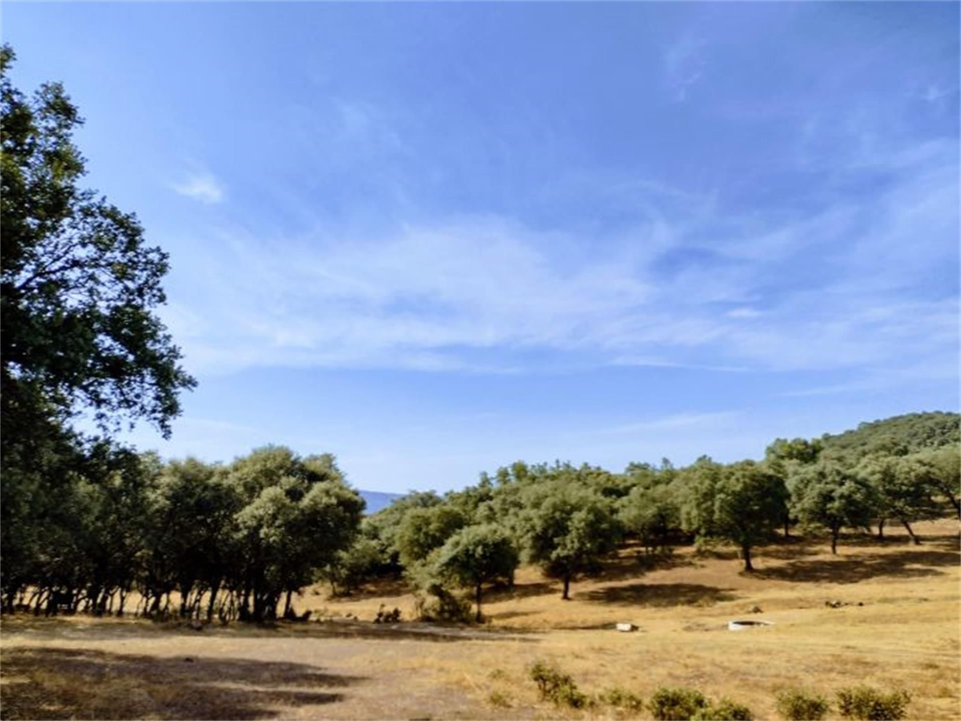 Grundstücke zum verkauf in Mijares