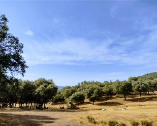 Land for sale in Mijares