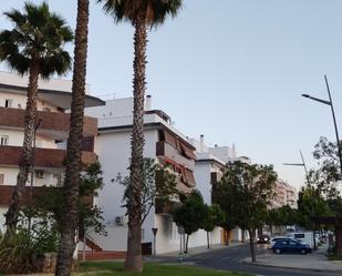 Vista exterior de Pis en venda en Lucena amb Aire condicionat, Terrassa i Piscina