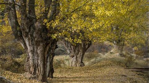 Photo 4 of House or chalet for sale in Plaza Mayor, Aliaga, Teruel