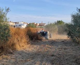 Finca rústica en venda en Salteras