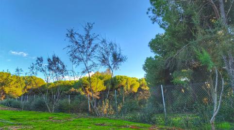 Flat for sale in Urbanización Los Arrayanes, La Puebla del Río, Sevilla - image 3 Photo 3 of Flat for sale in Urbanización Los Arrayanes, La Puebla del Río, Sevilla