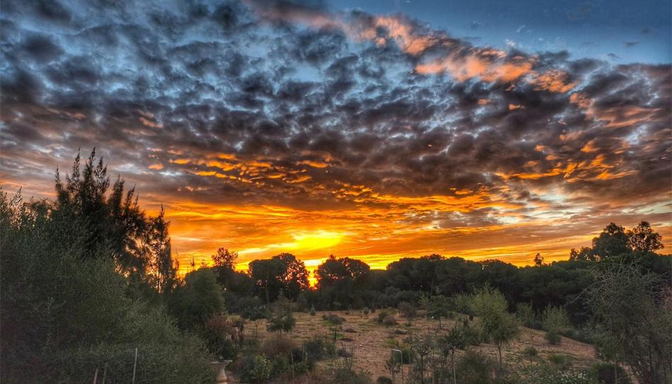 Flat for sale in Urbanización Los Arrayanes, La Puebla del Río, Sevilla - image 1 Photo 1 of Flat for sale in Urbanización Los Arrayanes, La Puebla del Río, Sevilla