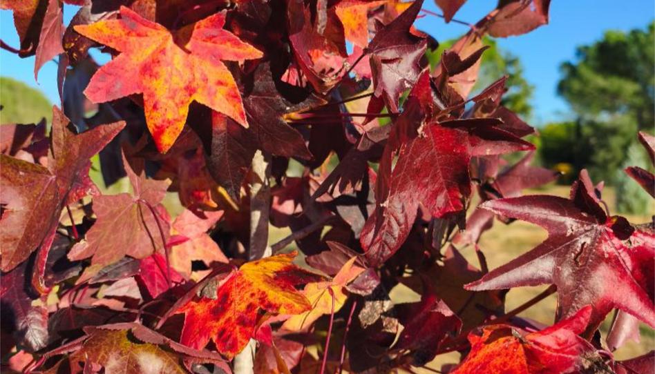 Foto 1 de Pis en venda a Urbanización Los Arrayanes, La Puebla del Río, Sevilla