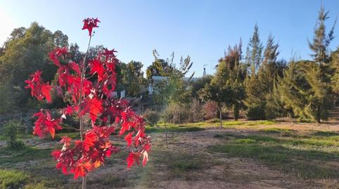 Foto 2 de Pis en venda a Urbanización Los Arrayanes, La Puebla del Río, Sevilla