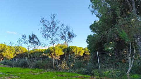 Foto 3 de Pis en venda a Urbanización Los Arrayanes, La Puebla del Río, Sevilla