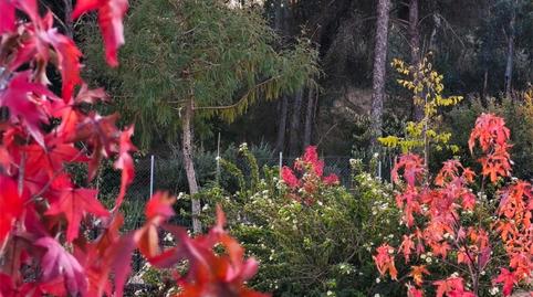 Foto 4 de Pis en venda a Urbanización Los Arrayanes, La Puebla del Río, Sevilla
