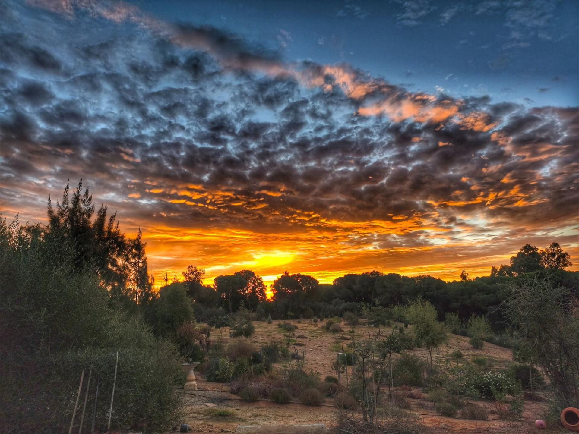 Exterior view of Flat for sale in La Puebla del Río  with Air Conditioner, Private garden and Swimming Pool