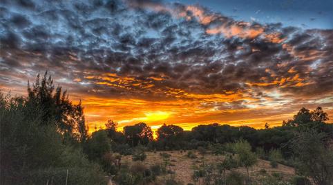 Foto 5 de Pis en venda a Urbanización Los Arrayanes, La Puebla del Río, Sevilla