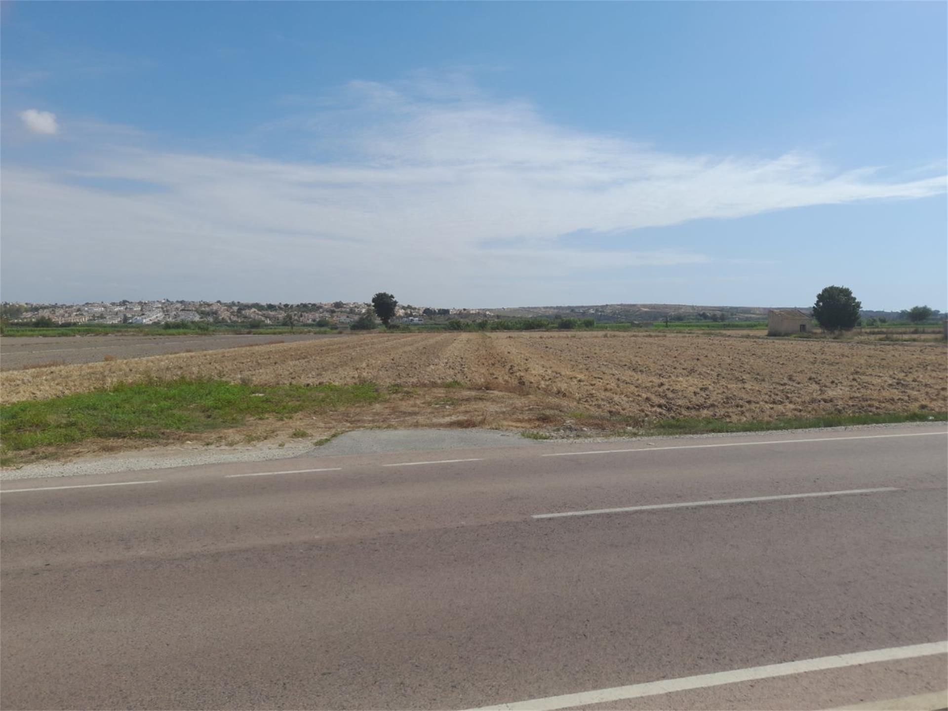 No Urbanizable en venta en Partida Lo Pedreño, San Fulgencio