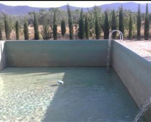 Swimming pool of Land for sale in Puertollano