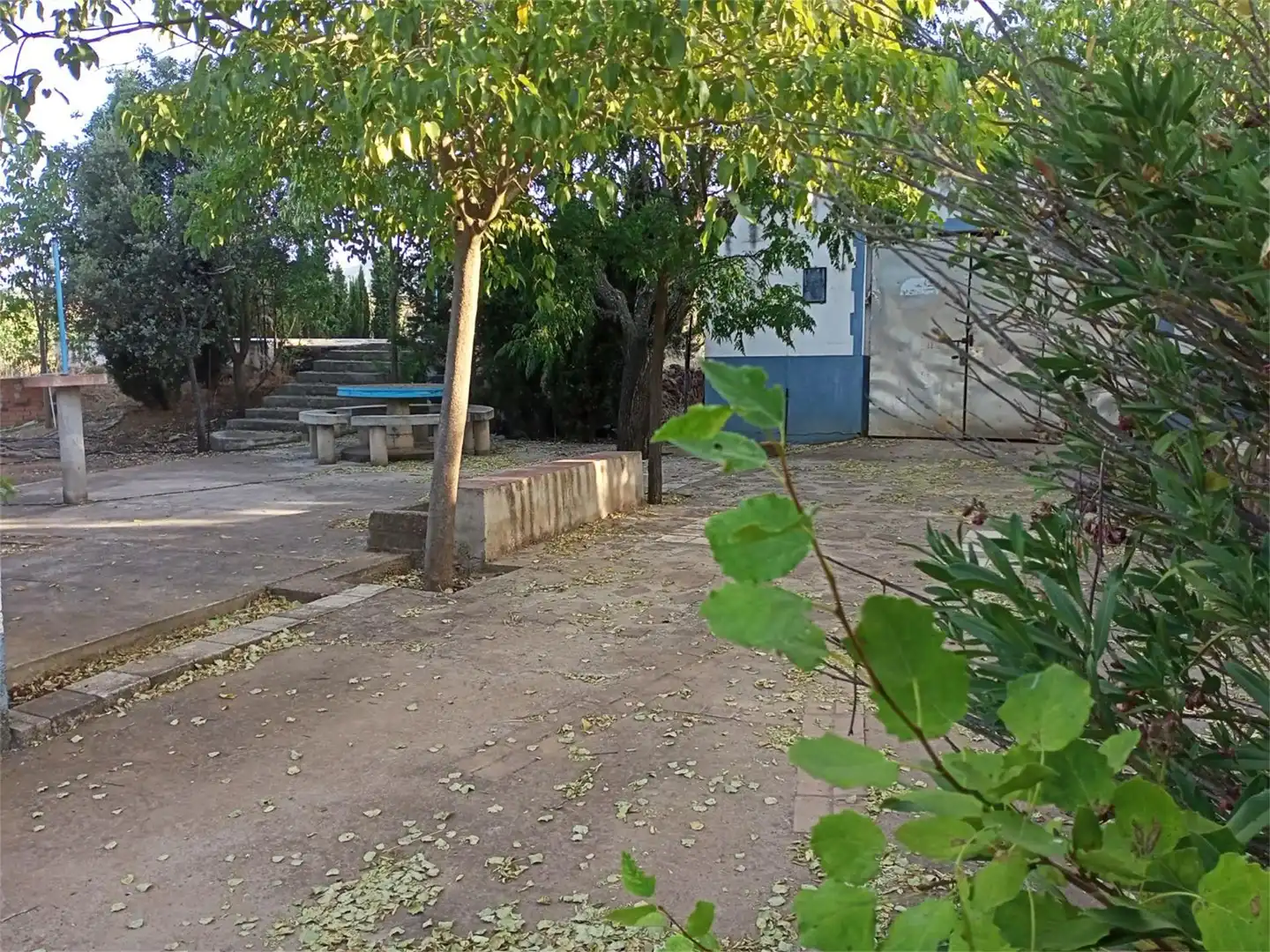 Finca rústica en venda a Carretera Puertollano a Villar, 17f, Carretera de Córdoba - Libertad Jardí de Finca rústica en venda en Puertollano