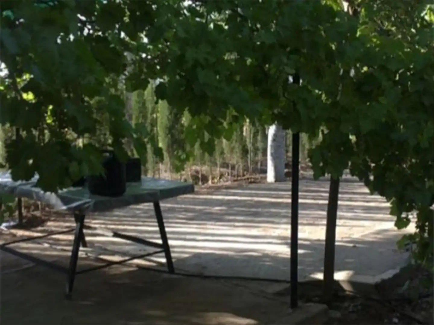 Finca rústica en venda a Carretera Puertollano a Villar, 17f, Carretera de Córdoba - Libertad Jardí de Finca rústica en venda en Puertollano