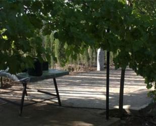 Jardí de Finca rústica en venda en Puertollano