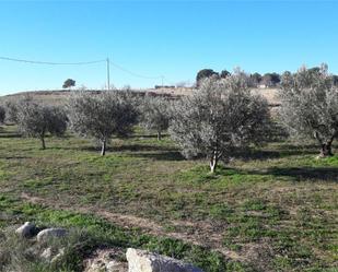 Finca rústica en venda en Caravaca de la Cruz