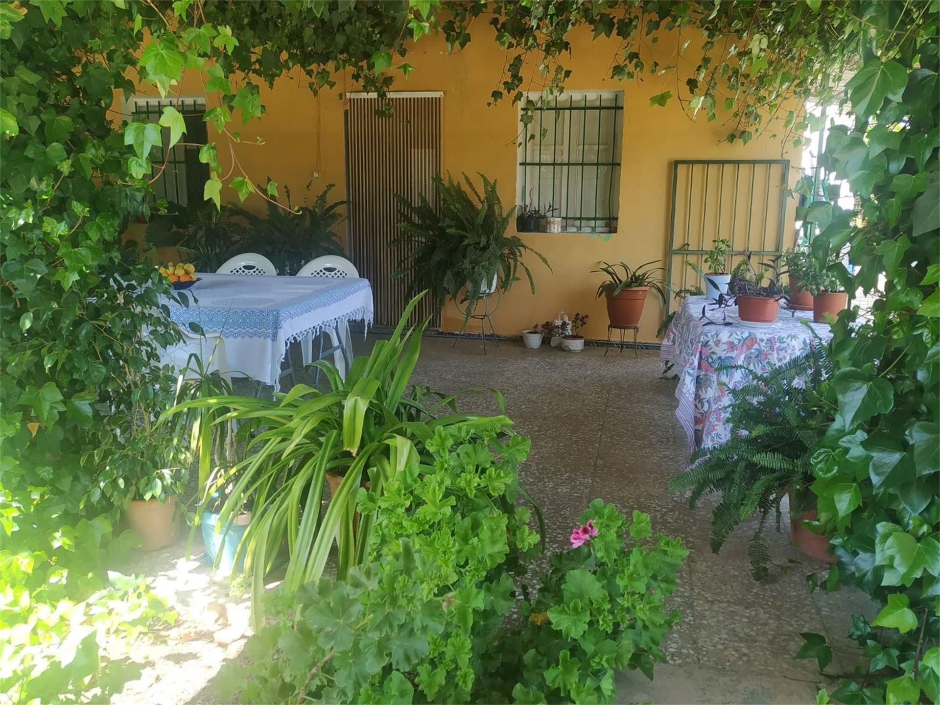 Garden of Country house for sale in Albatera  with Swimming Pool