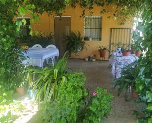 Garden of Country house for sale in Albatera  with Swimming Pool