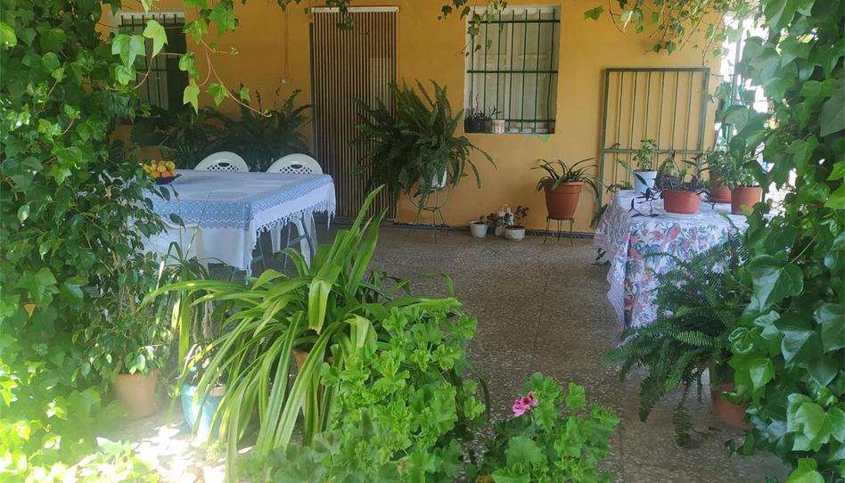 Finca rústica en venta en Camino del Espartal, Albatera, Alicante - imagen 1 Foto 1 de Finca rústica en venta en Camino del Espartal, Albatera, Alicante