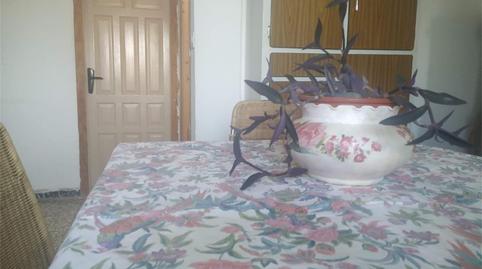 Finca rústica en venta en Camino del Espartal, Albatera, Alicante - imagen 2 Foto 2 de Finca rústica en venta en Camino del Espartal, Albatera, Alicante