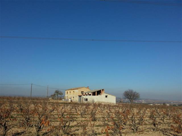 Finca rústica en Venta en Carrer l'Horta en Santa Fe del Penedès