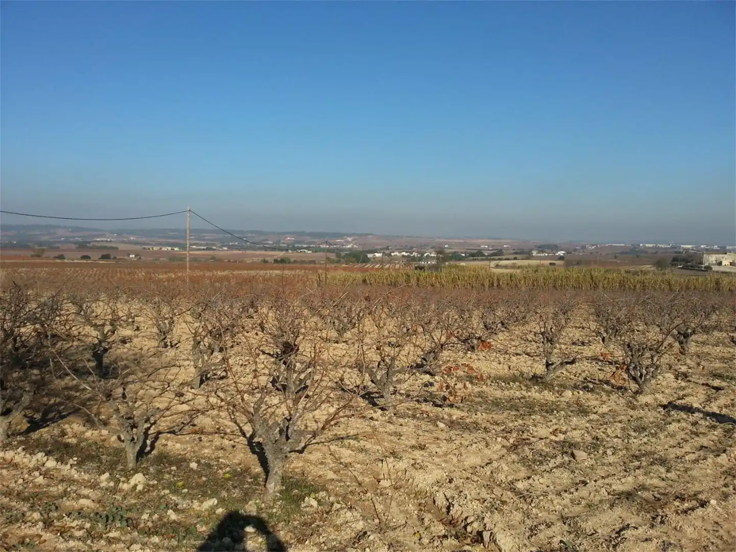 Finca rústica en venta en Carrer l'Horta, Santa Fe del Penedès Finca rústica en venta en Santa Fe del Penedès